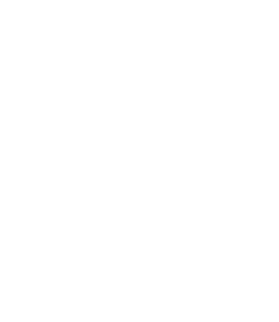 Pioneer Elevators
