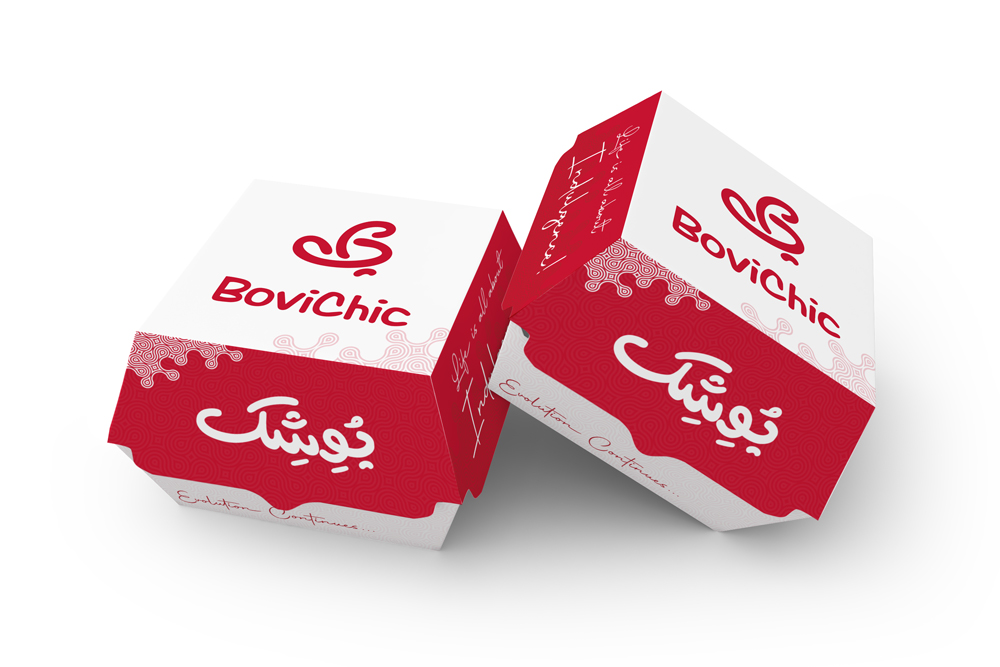 Bovichic Burger Steer Media